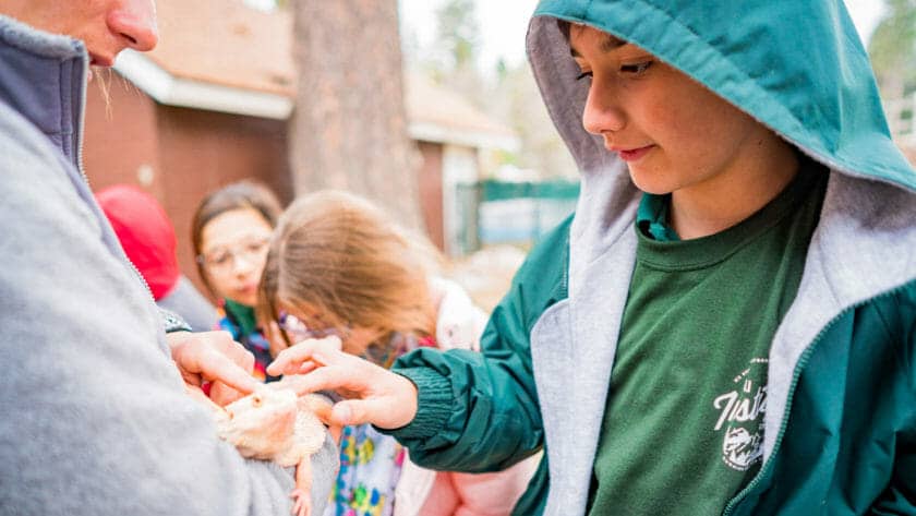 Boy pets lizard at Pali Institute class