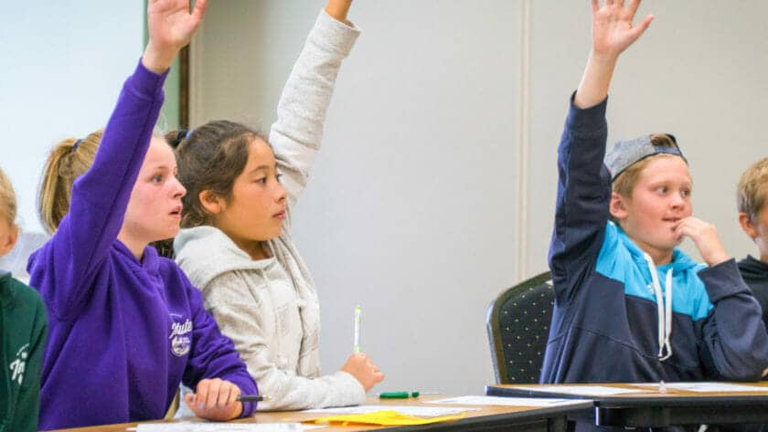 Students raising hands during class