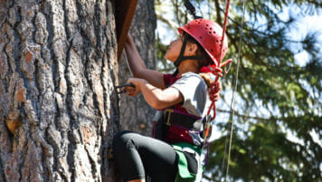 Side view of young Pali student climbing tree with helmet on